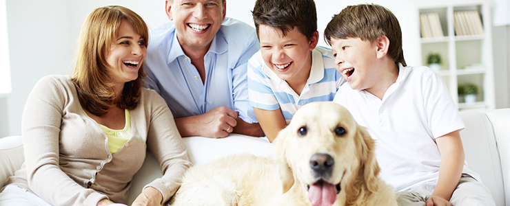 Hundeversicherungen – Welche Versicherungen brauche ich für meinen Vierbeiner?